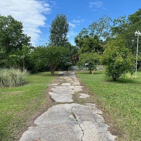 Bare Feet Bungalow -Close To Beach & Dog Friendly Gulfport Eksteriør billede