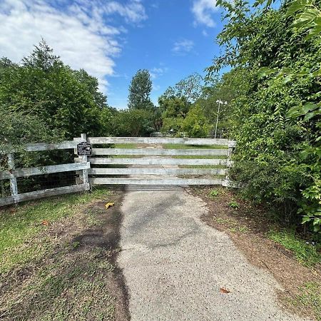 Bare Feet Bungalow -Close To Beach & Dog Friendly Gulfport Eksteriør billede