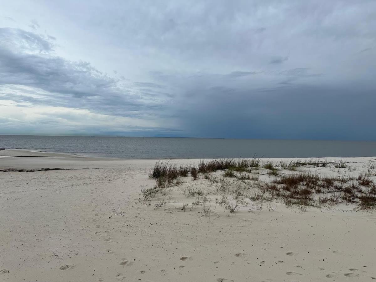 Bare Feet Bungalow -Close To Beach & Dog Friendly Gulfport Eksteriør billede