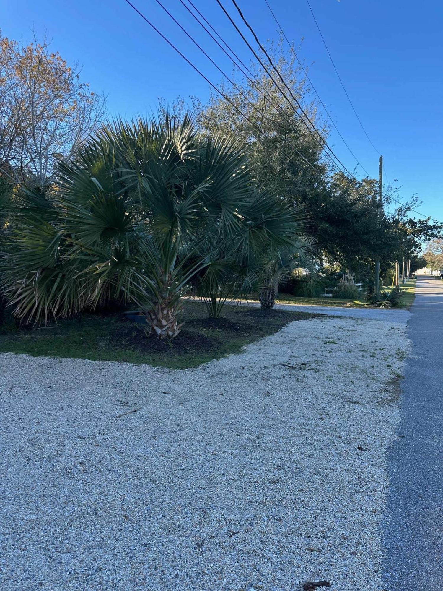 Bare Feet Bungalow -Close To Beach & Dog Friendly Gulfport Eksteriør billede